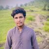 king364168