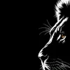 user4936003104332