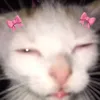 kageyama_casa_comigo