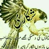 waqarahmad230