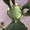 lucasg8686