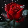 reagan.rose45