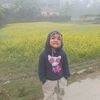 alim59974