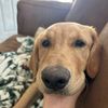 mason_byrd5217