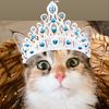 princessladygeorgina