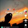 hamadmohman8