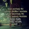 adr.abekoon