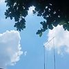 differentvedio