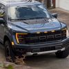 slow_raptor