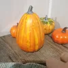 alfiekni