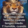 alvaro.saasalal