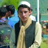 irshad.wafaa.999