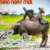 wnamvietnam