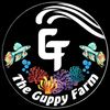 the_guppy_farm