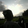 amaydarailmiar