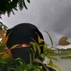 tanha.islam89380