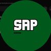 its.sapppp