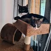 bellathecat2024