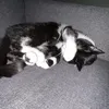 lulu_9874