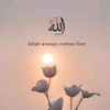 areeshfatima301