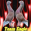 Team Eagle