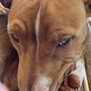 sideeyecoxo