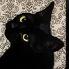 يَنابِيعُ الحِكْمَةِ