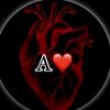 aniiza150