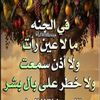 user9152815813518