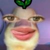 _xynjwaa275