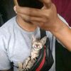 yan.naing6177