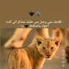 mhmdnhadfys9