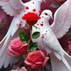 hadj.sousou6