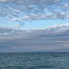 anarka_9494