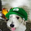 adopt_c4t