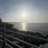 trixzy_vr526