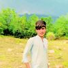 dadoo_205