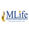 Madison Life Insurance Company