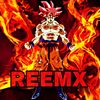 reemx.2024