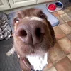 lisa.barry41