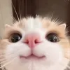 hupa_lu