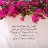 user5273294056863
