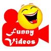 funniestvideos142