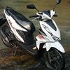 ayam.jago.mantap