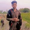 safder7644