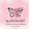 karar.alsady0