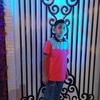 mahmoud.mostafa5422