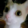 le.chat2730