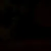 pelajr_13