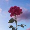 user7501984353026